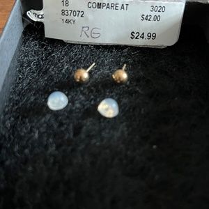 14K Rose Gold Earrings